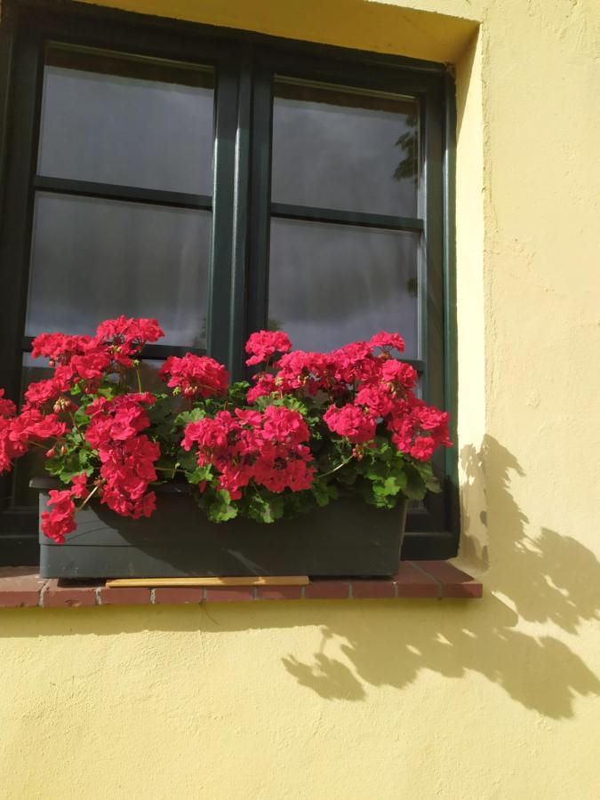 Wirtshaus Neuenkirchen Ξενοδοχείο Neuenkirchen auf Rugen Εξωτερικό φωτογραφία